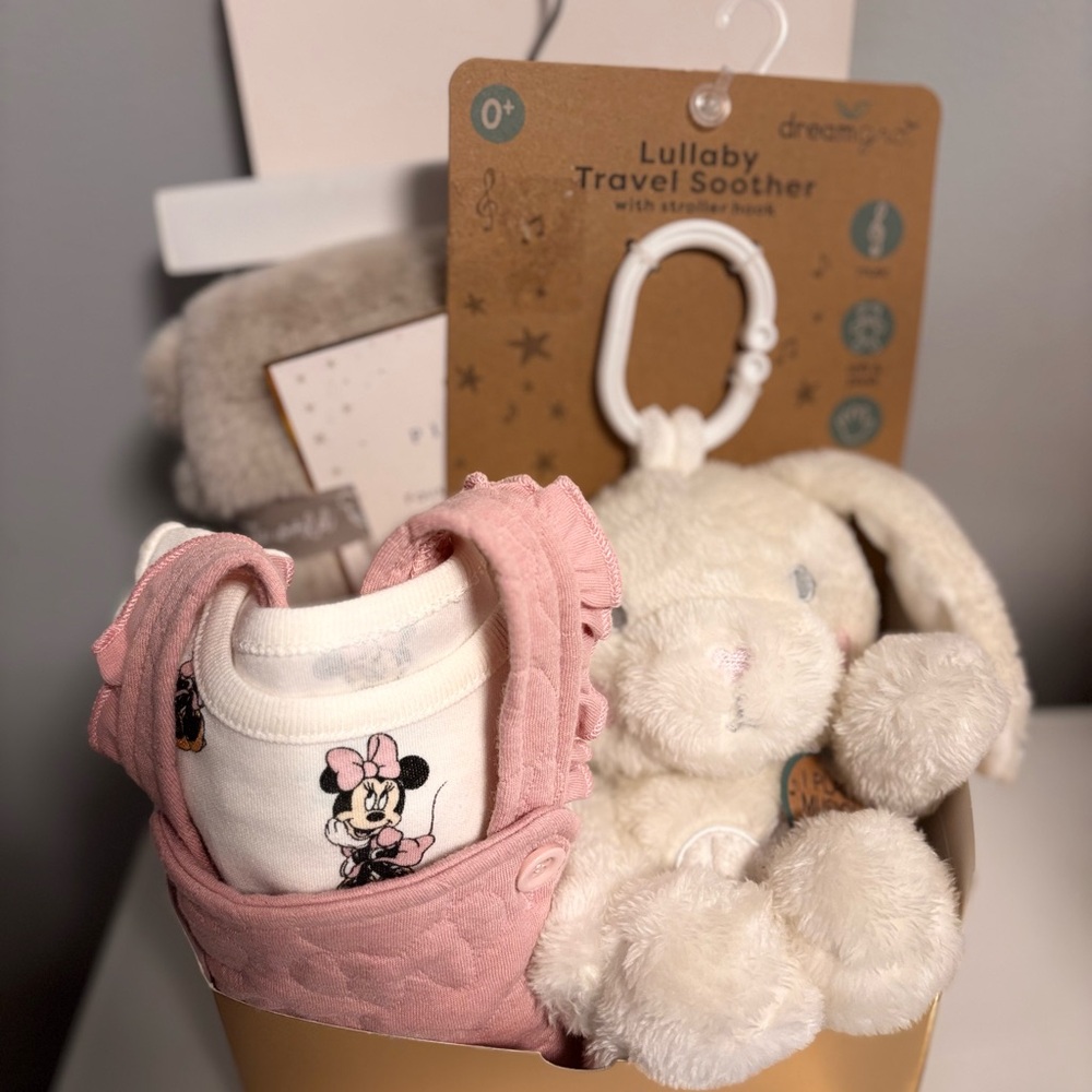 Baby girl gift basket
